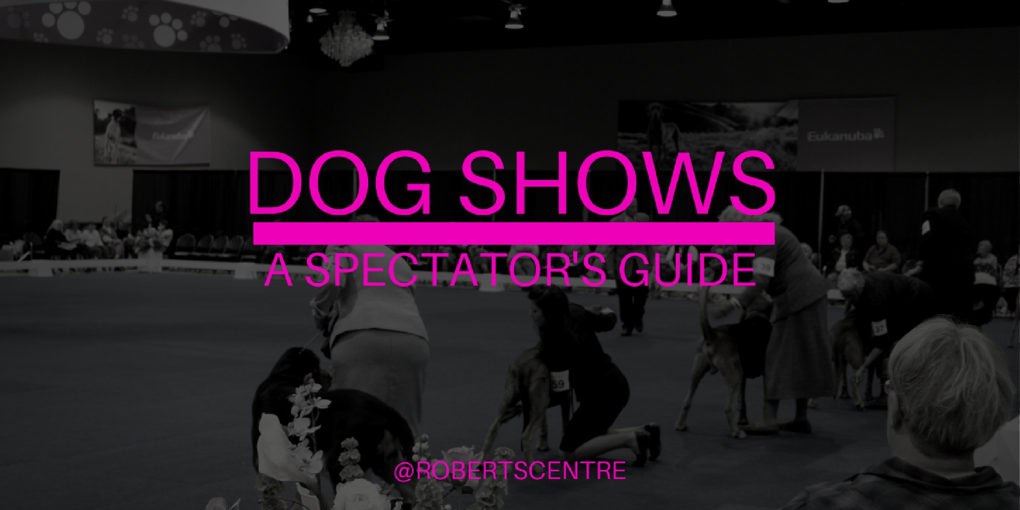 A Dog Show Spectator’s Guide Part 2