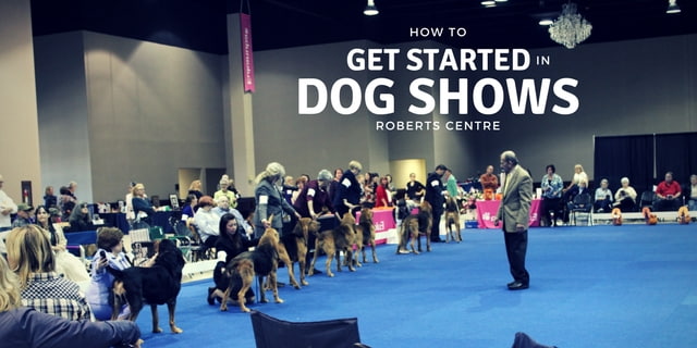 DOG SHOWS 1-min