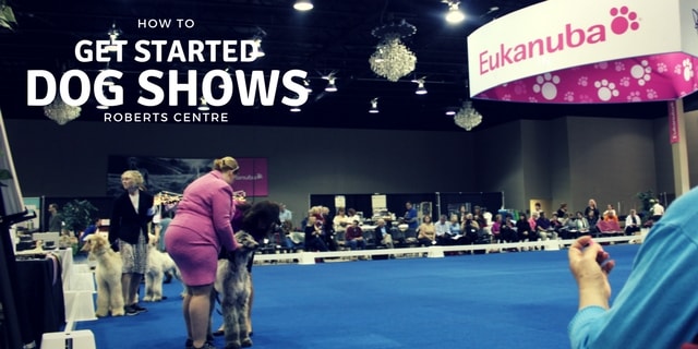 DOG SHOWS