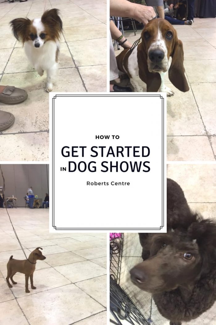 STARTED IN DOG SHOWS